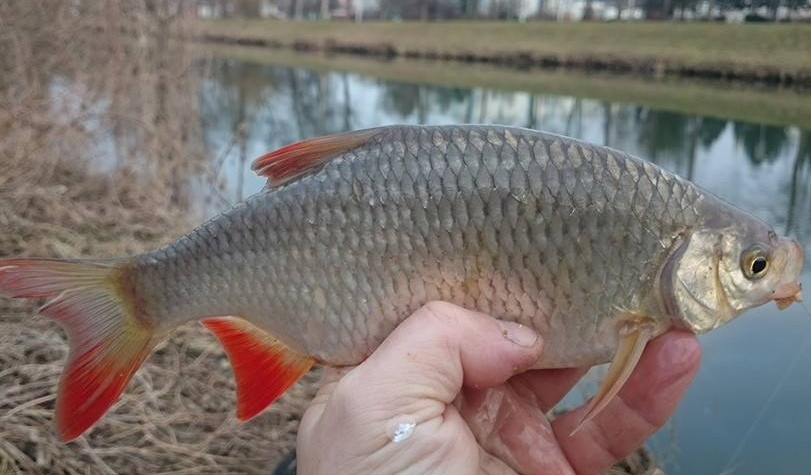 nachytano.cz